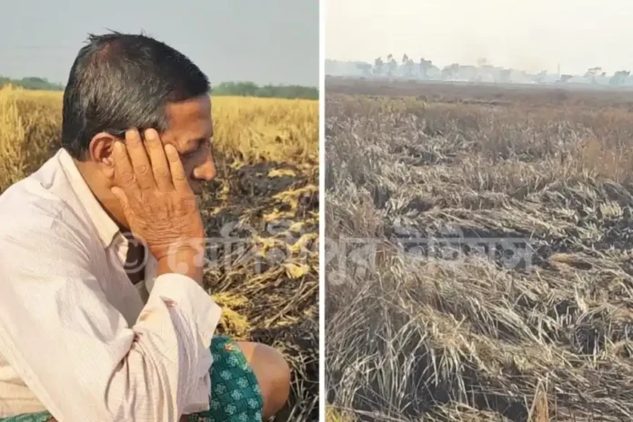 3 bigha of paddy land burnt in Debra