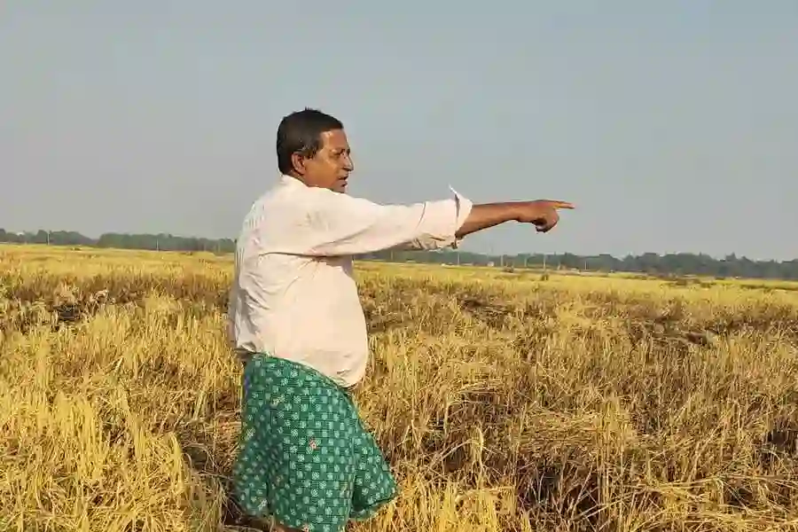 3 bigha of paddy land burnt in Debra